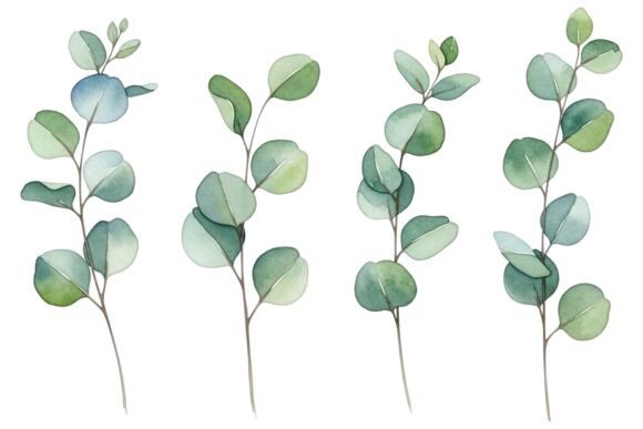 Download Watercolor Eucalyptus Leaves Set - Set Collection
