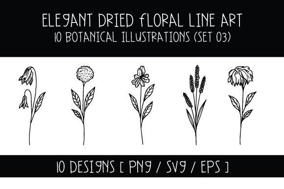 Download Elegant Dried Floral Line Art (Set 03) - Set Collection