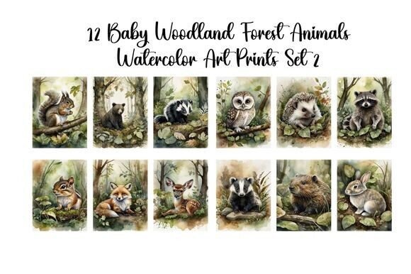 Download Baby Woodland Forest Animals Set 2 - Premium Resources