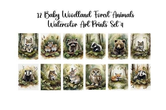 Download Baby Woodland Forest Animals Set 4 - Premium Resources